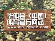 种植基地七