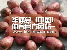 产品展示标题5(图1)