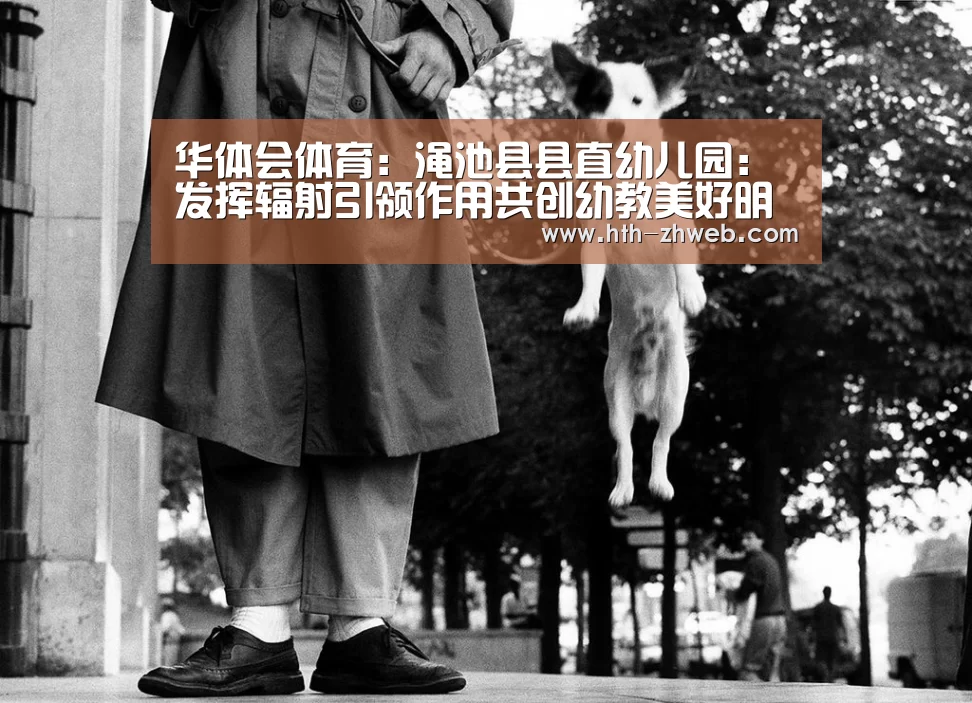 华体会体育:渑池县县直幼儿园:发挥辐射引领作用共创幼教美好明天(图3) 华体会体育